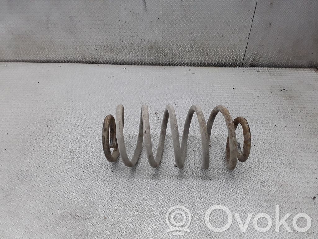 Muelle espiral trasero