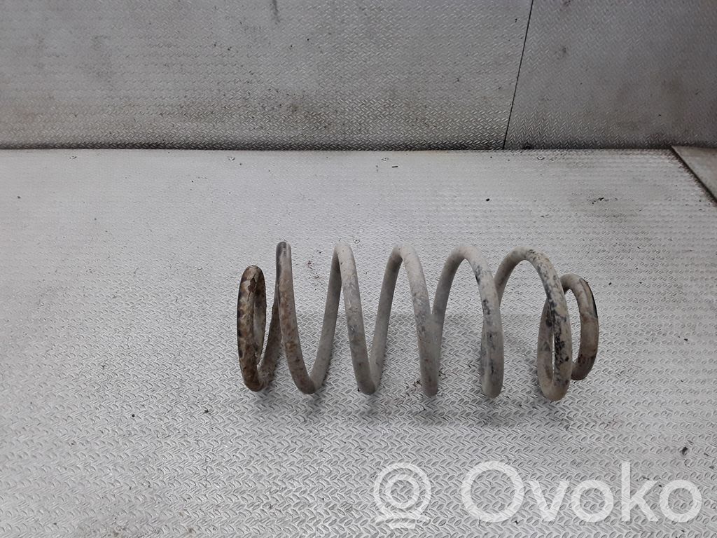Muelle espiral trasero