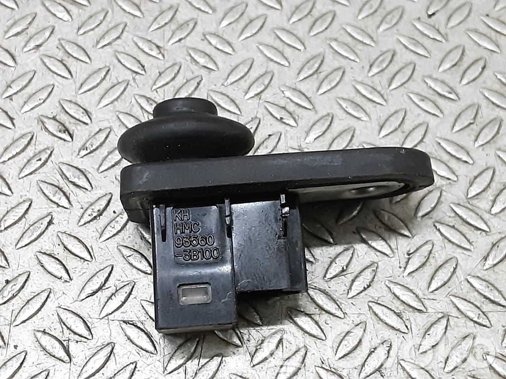 Hyundai Terracan Rear door sensor 