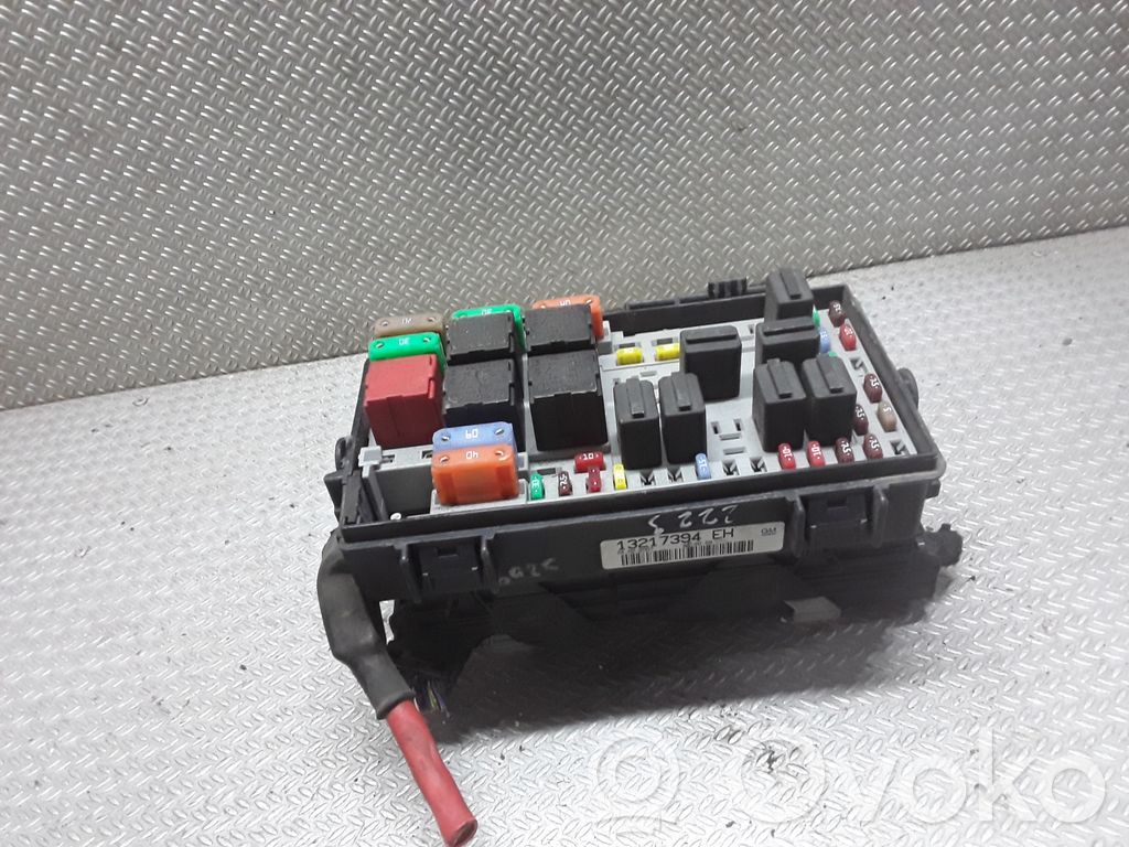 Fuse module   13217394