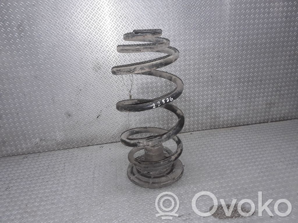 Muelle espiral trasero