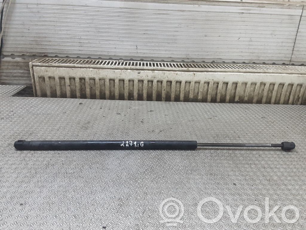 Ford Fiesta Tailgate/trunk strut/damper 