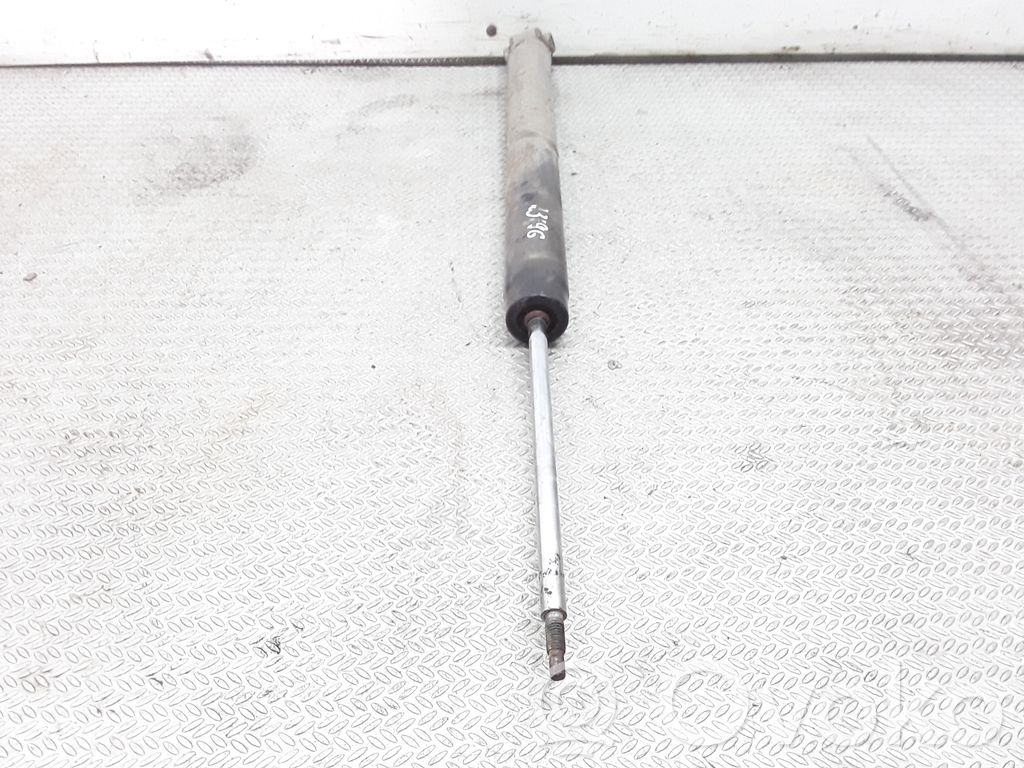 Rear shock absorber/damper