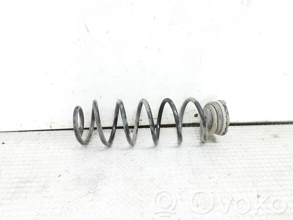 Rear coil spring