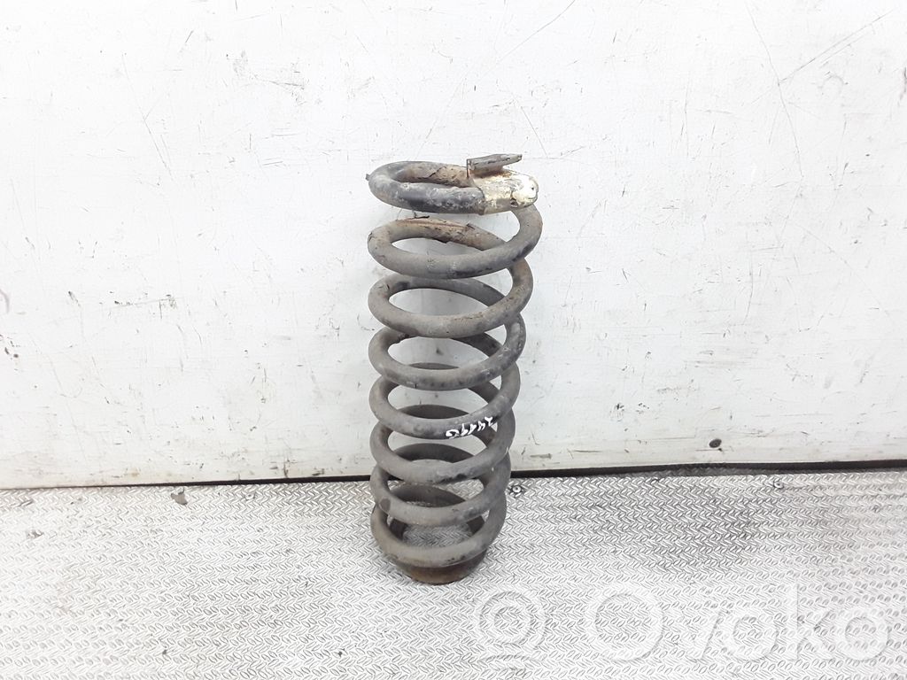 Rear coil spring