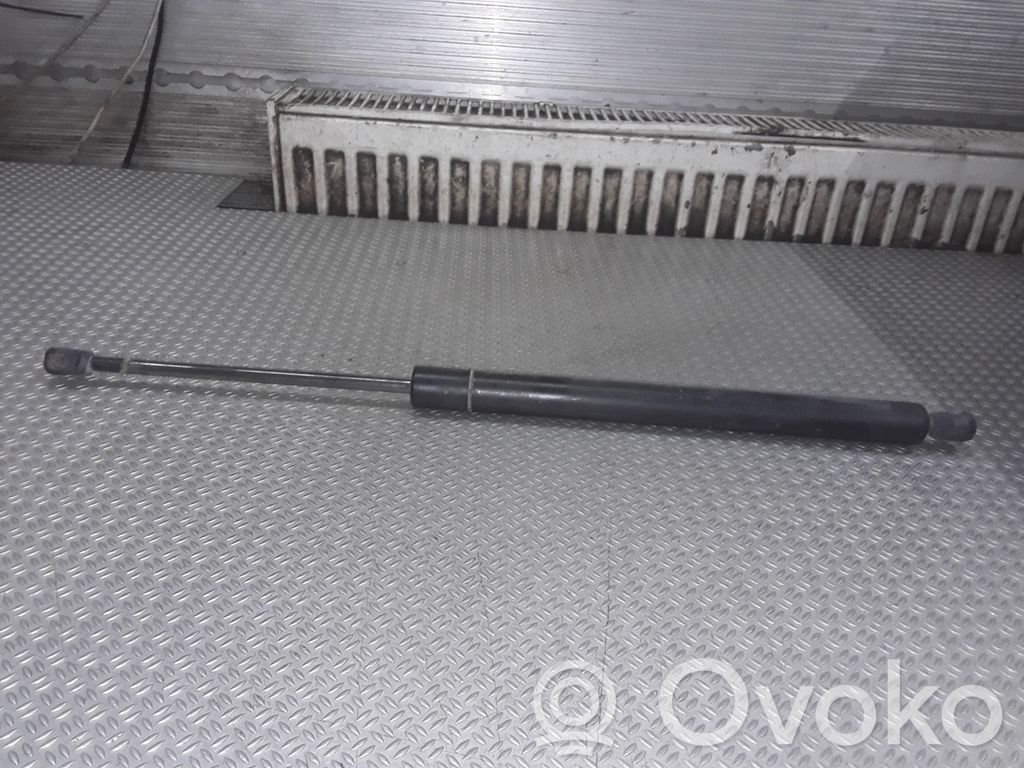 Tailgate/trunk strut/damper
