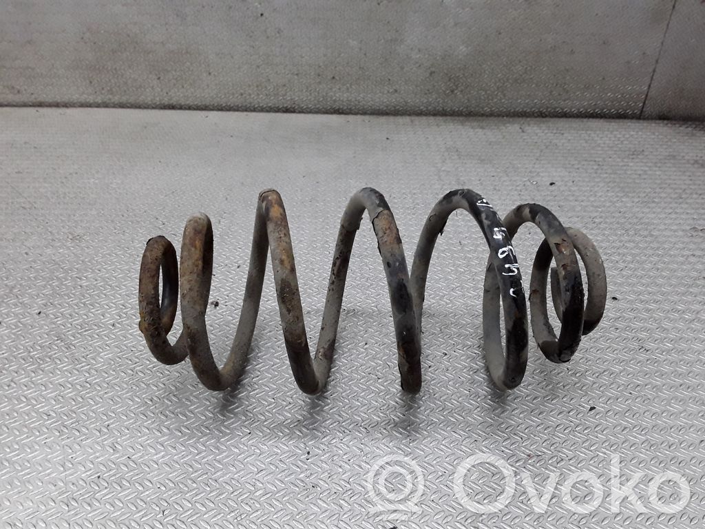 Rear coil spring