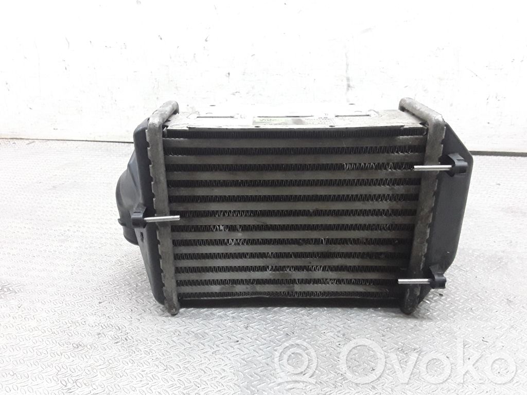 Interkūlerio radiatorius   078145805L