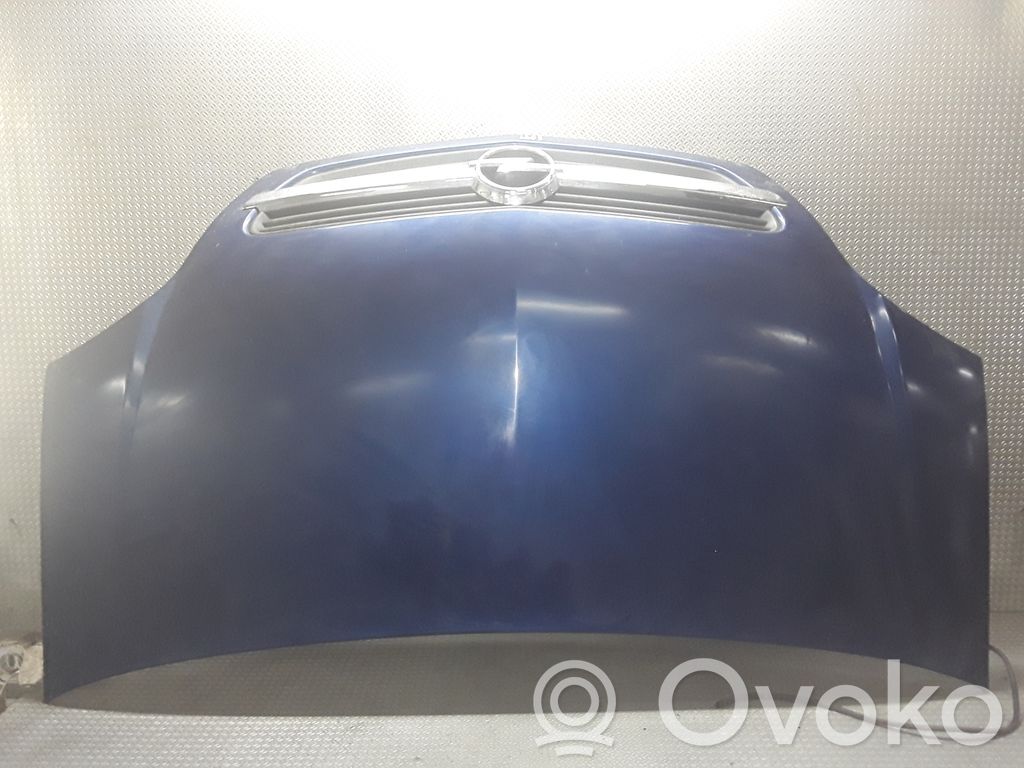 Engine bonnet/hood