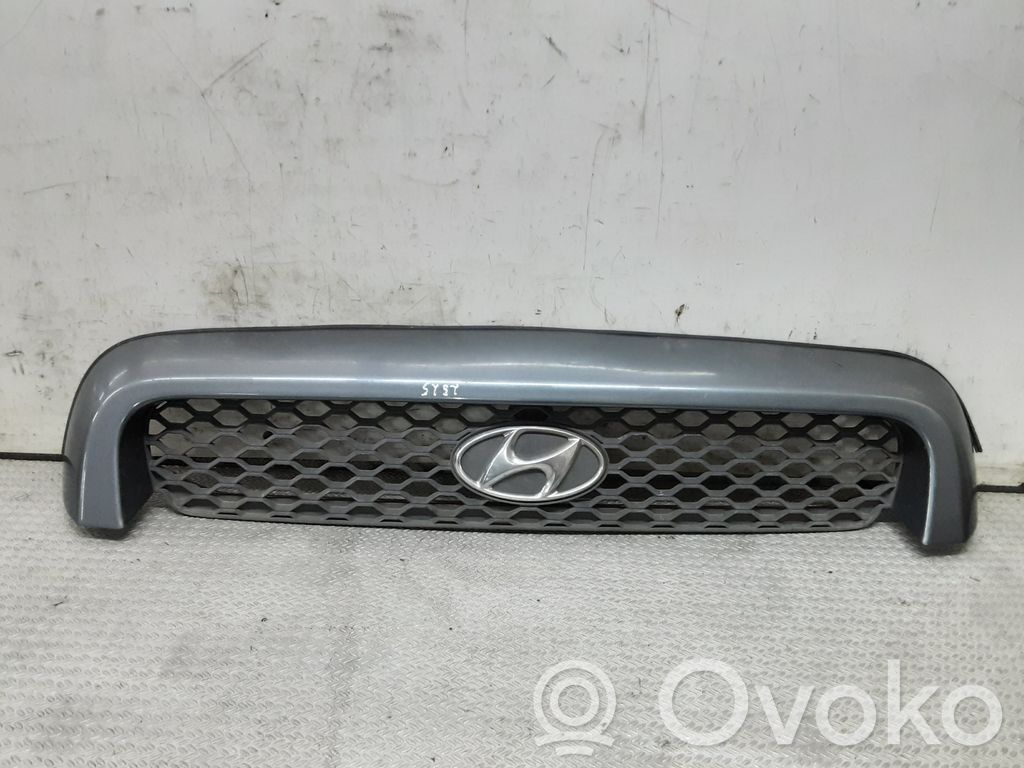 Hyundai Santa Fe Etusäleikkö 