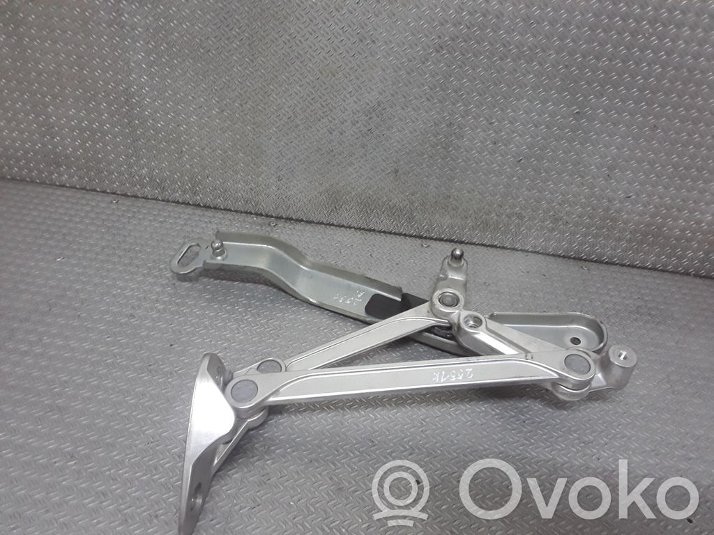 Volkswagen Phaeton Tailgate/trunk/boot hinge 