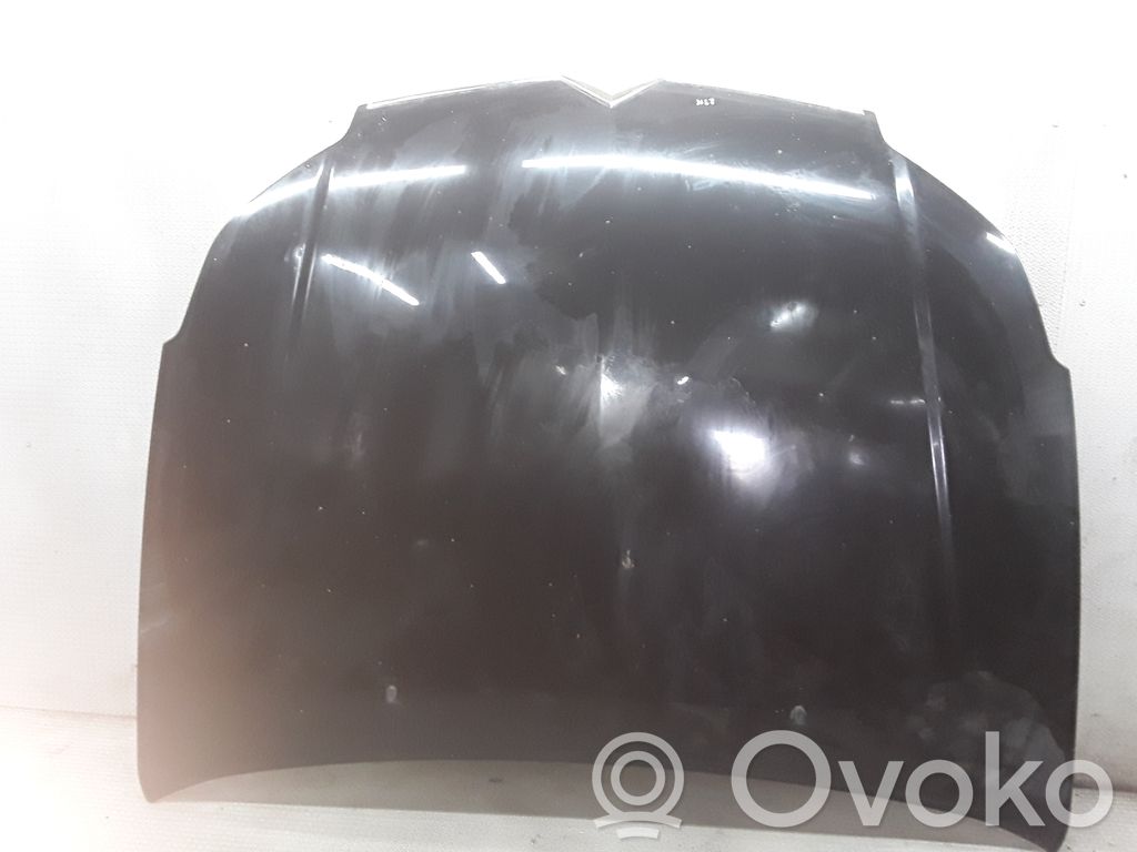 Motorhaube