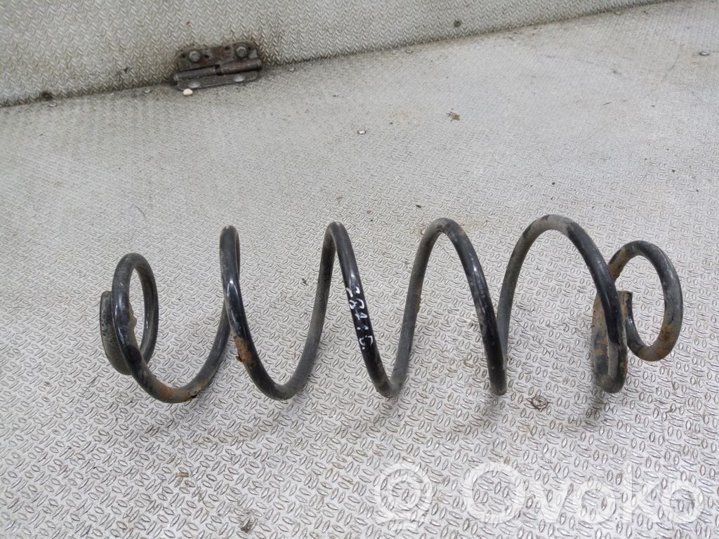 Rear coil spring