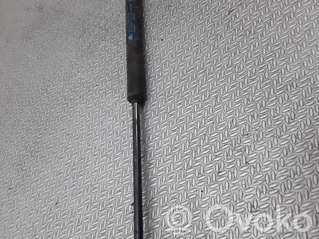 Citroen C3 Amortiguador/puntal del maletero/compartimento de carga 