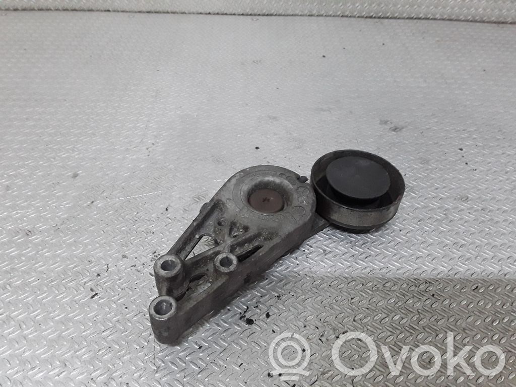 Tensor de correa del alternador   058903133A