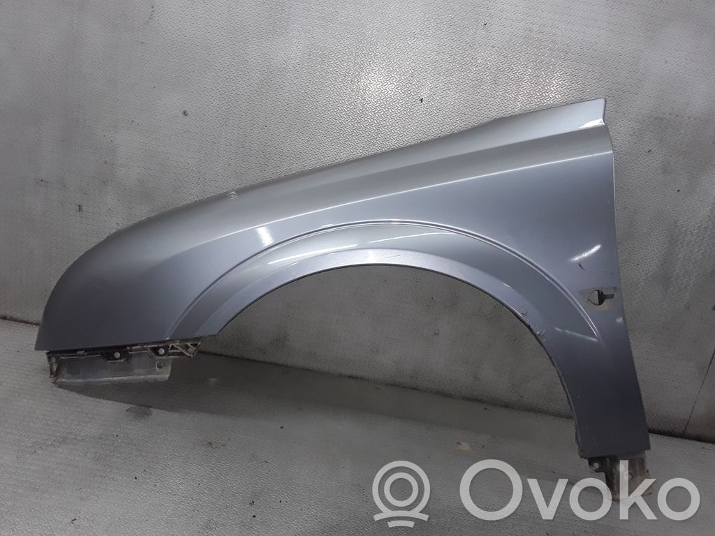 Fender
