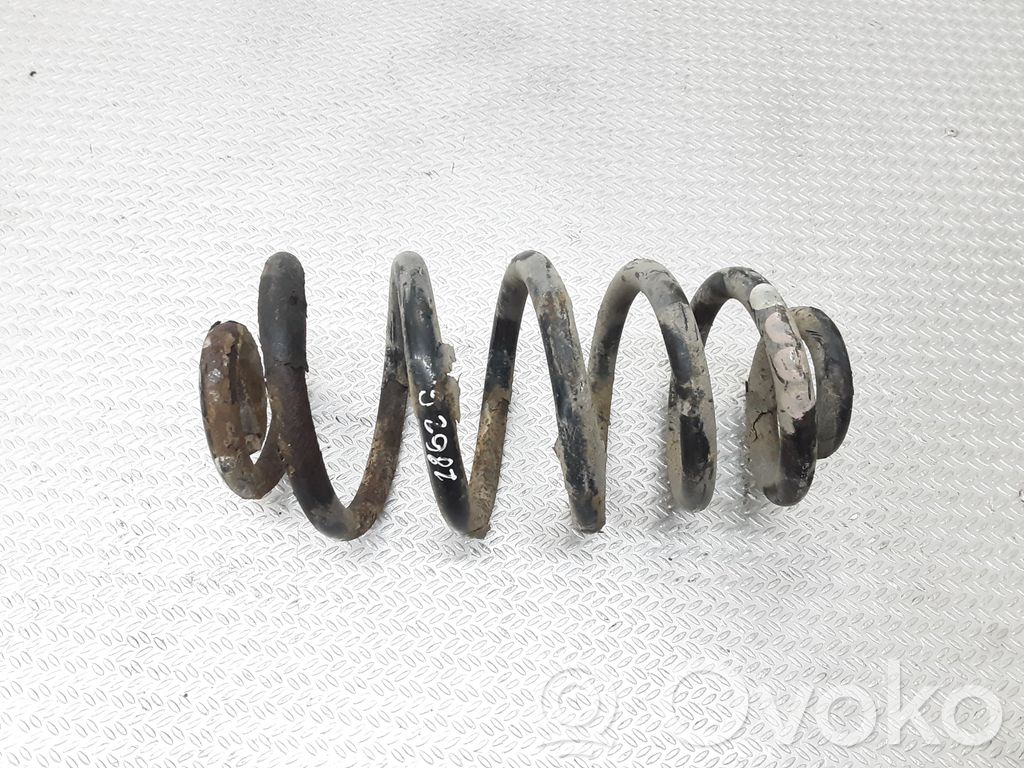 Muelle espiral trasero
