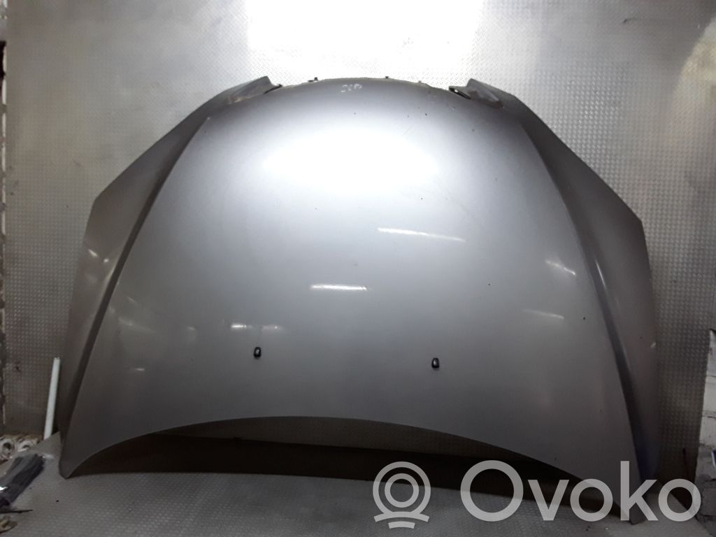 Vano motore/cofano