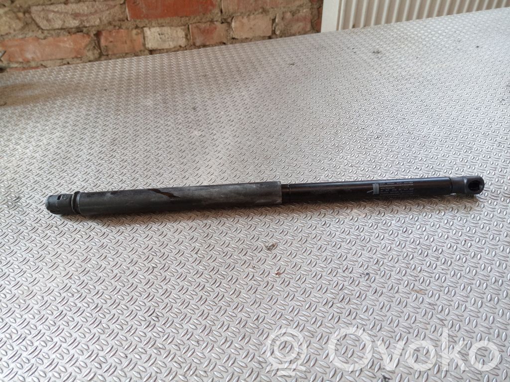 Tailgate/trunk strut/damper   9648388480
