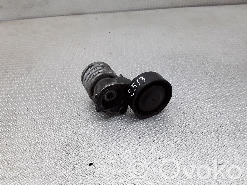 Skoda Fabia Mk2 (5J) Napinacz paska alternatora 