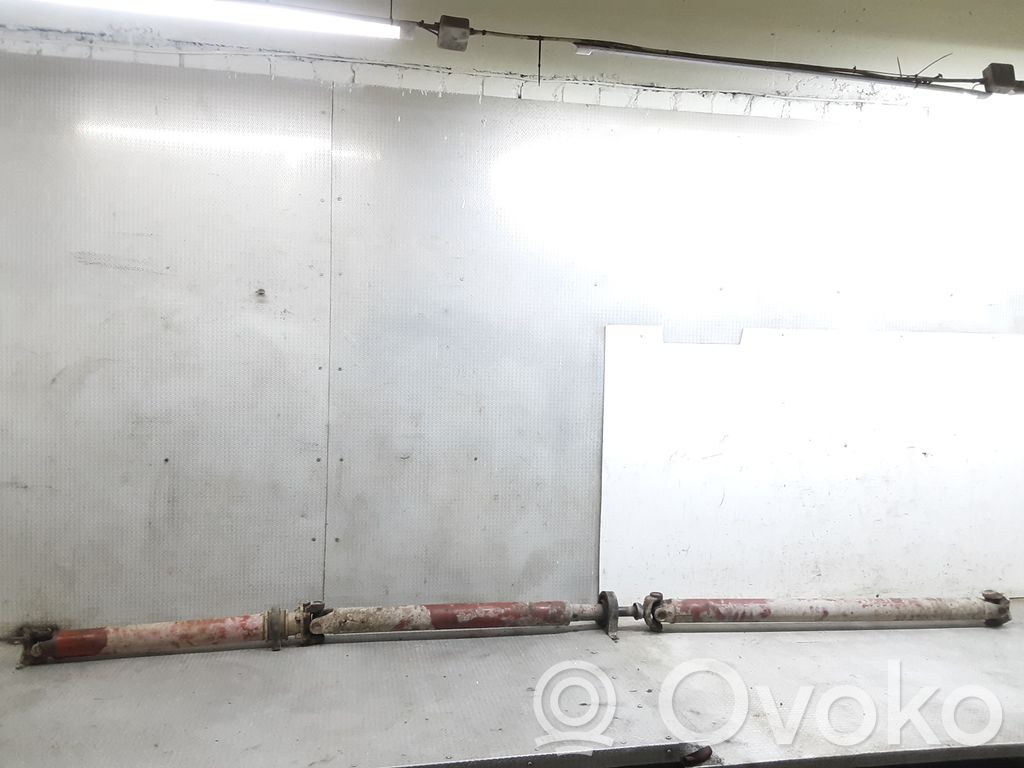 Drive shaft (set)