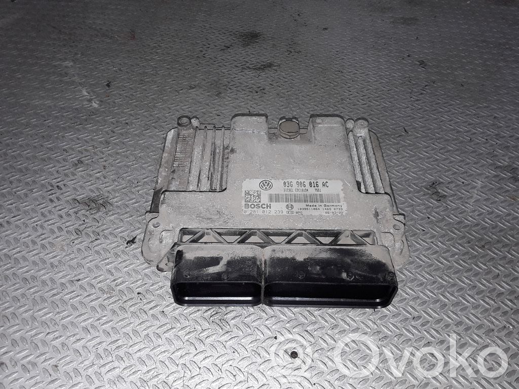 Engine control unit/module   03G906016AC,0281012239