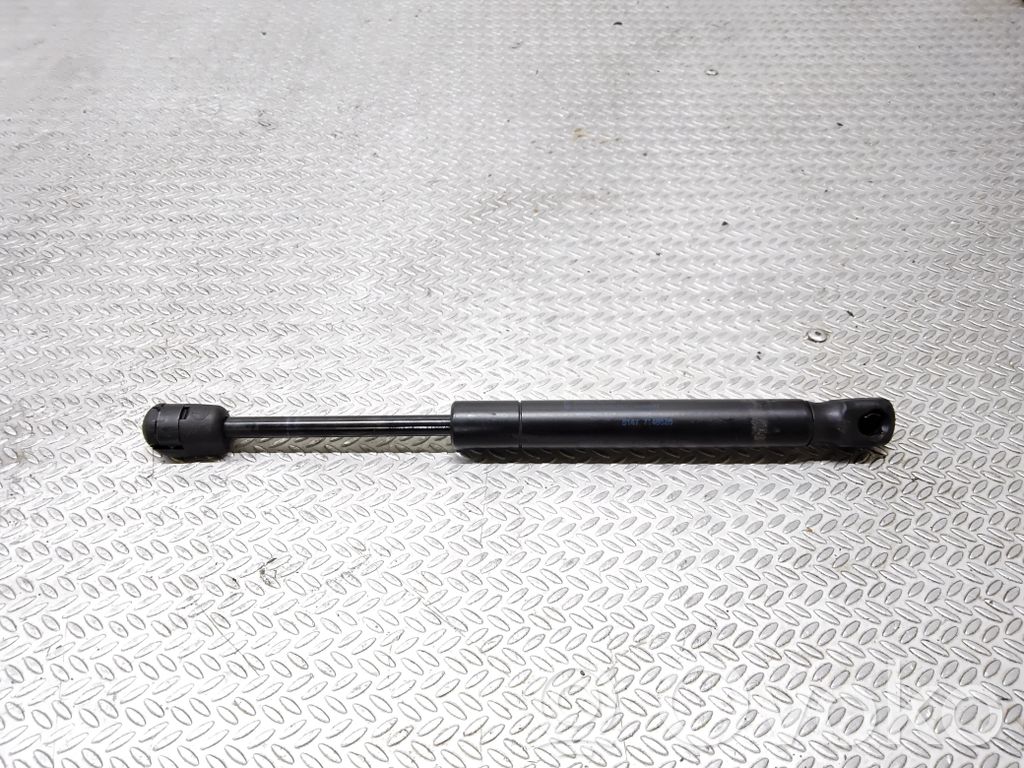 Tailgate/trunk strut/damper   51477148826