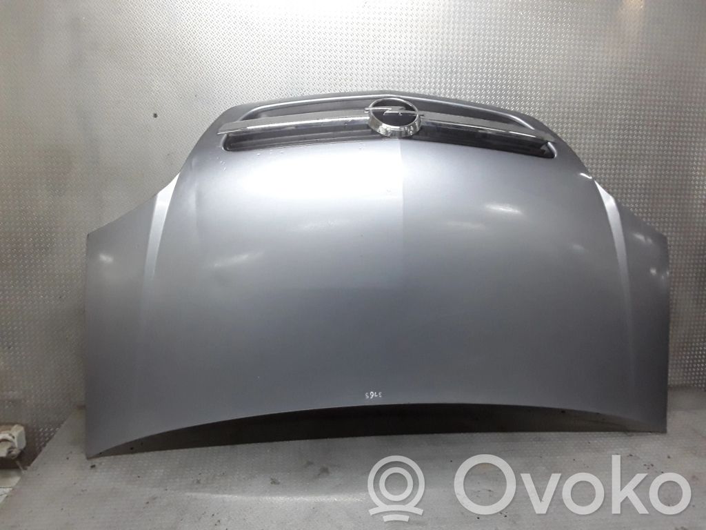 Engine bonnet/hood