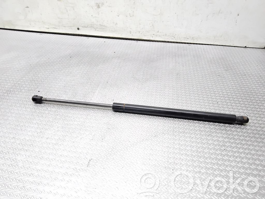 Tailgate/trunk strut/damper   XL2478406A10AA