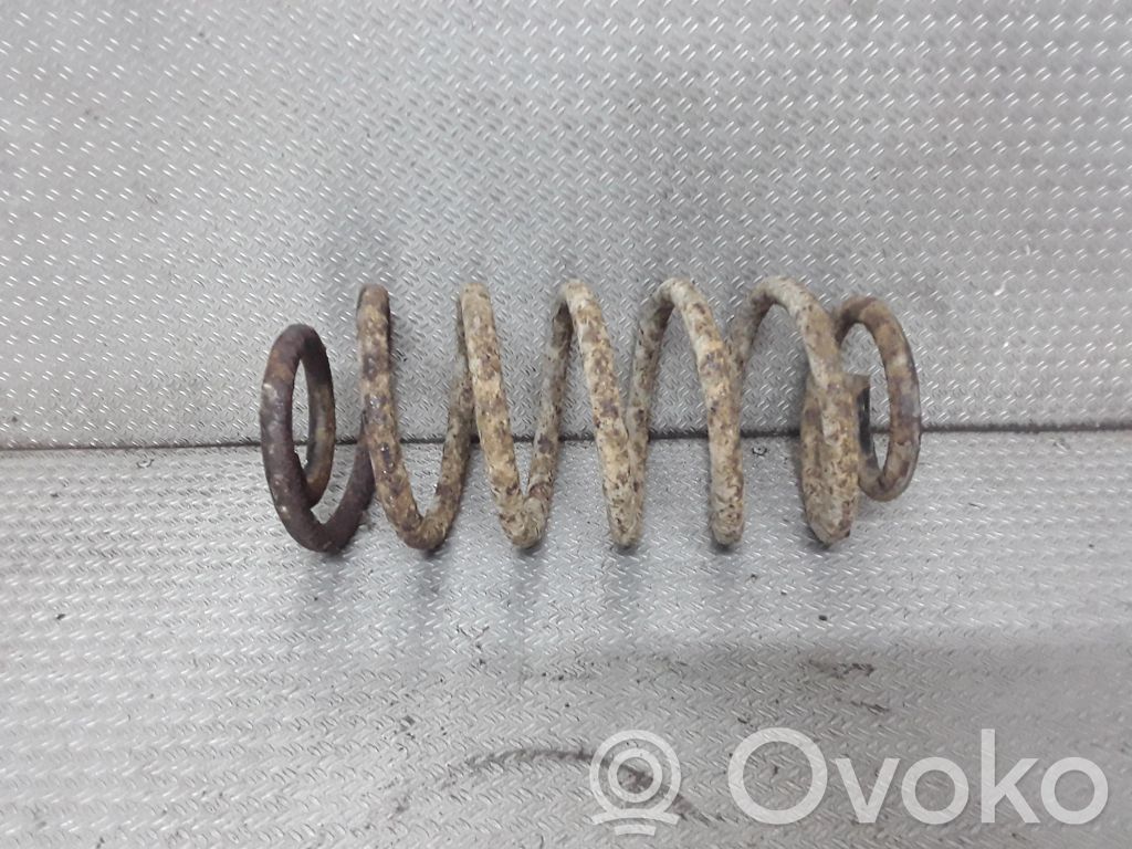 Rear coil spring