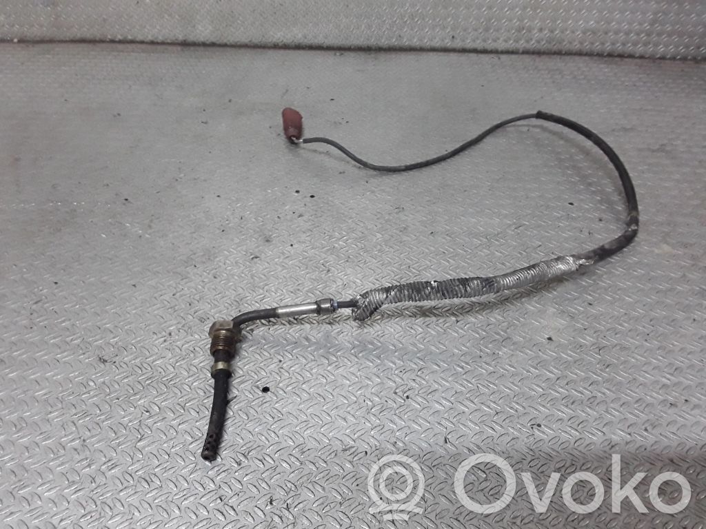 Abgastemperatursensor   8E0906088