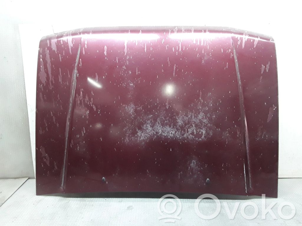 Motorhaube