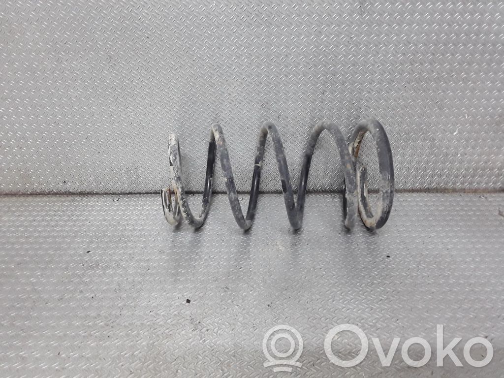 Rear coil spring