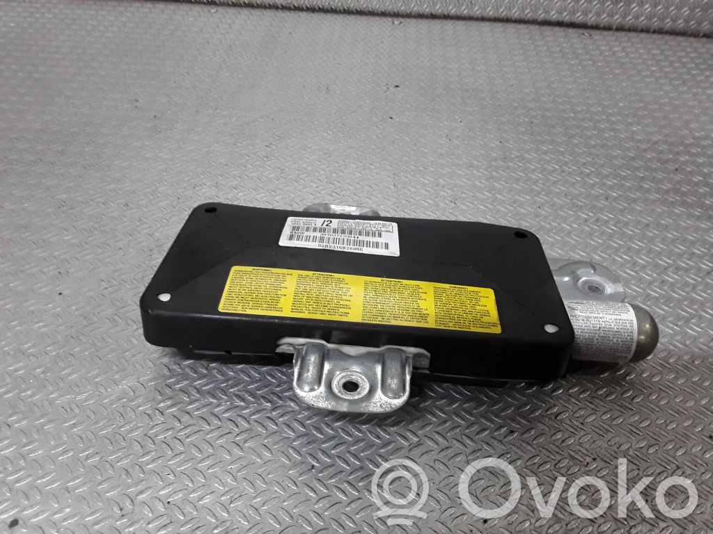 Airbag de la puerta delantera   307037233044