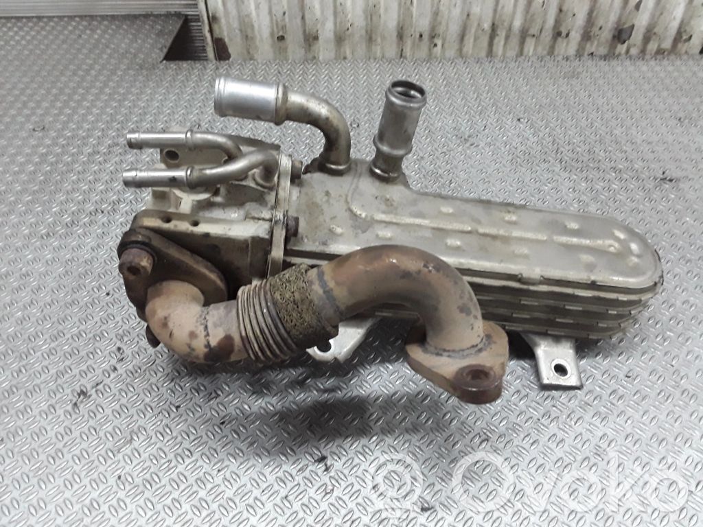 Chłodnica spalin EGR   038131513AD