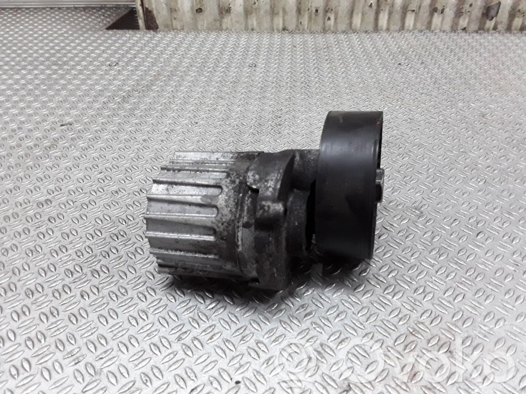 Tensor de correa del alternador   038903315AJ