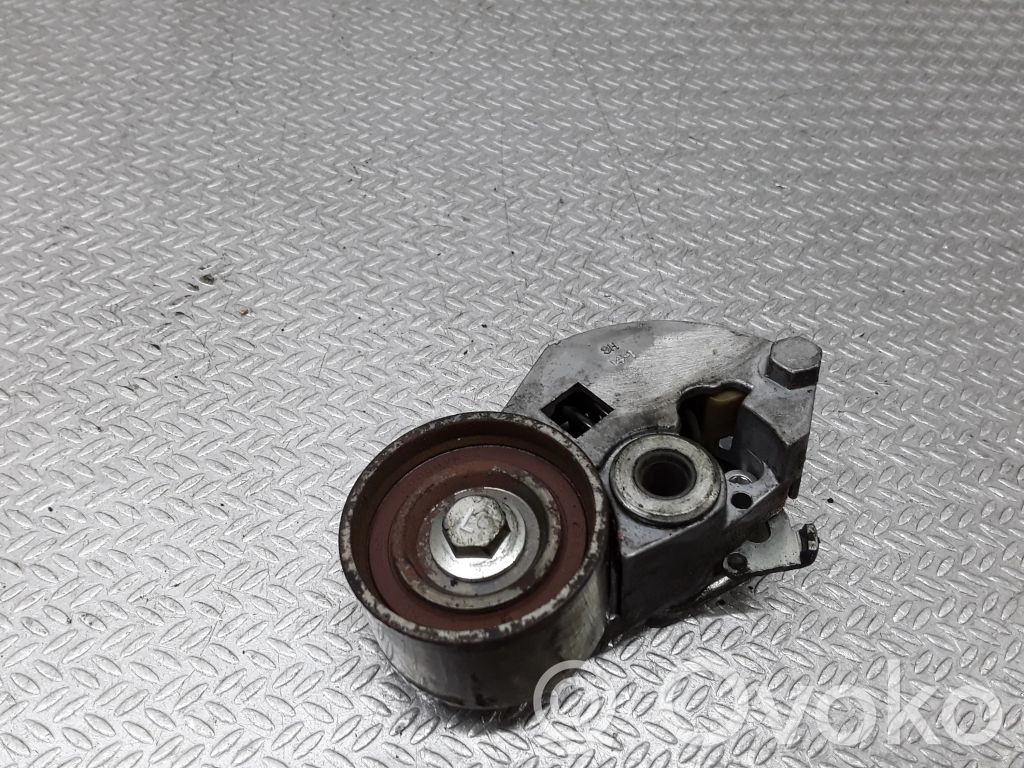 Hyundai Santa Fe Paskirstymo diržo/ grandinės įtempėjas 