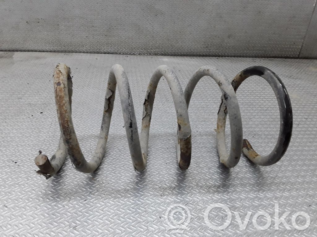 Rear coil spring