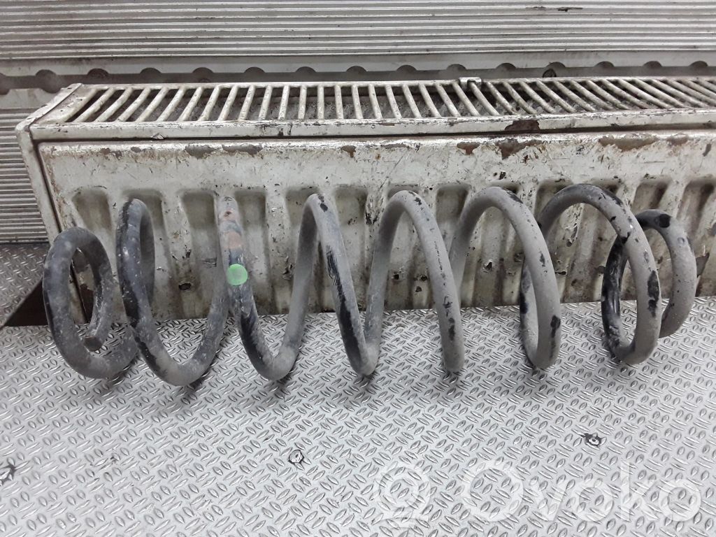 Rear coil spring
