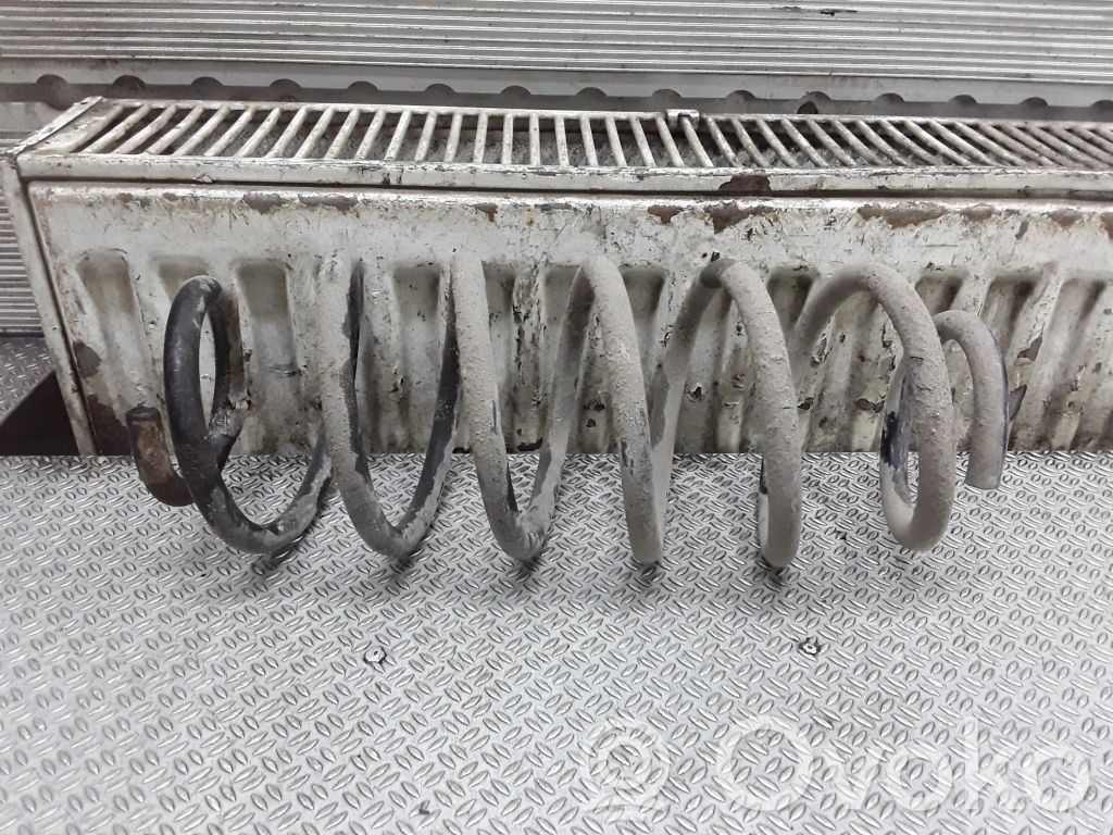 Rear coil spring
