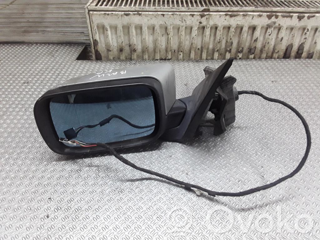 Elektryczne lusterko boczne drzwi przednich   E10117351