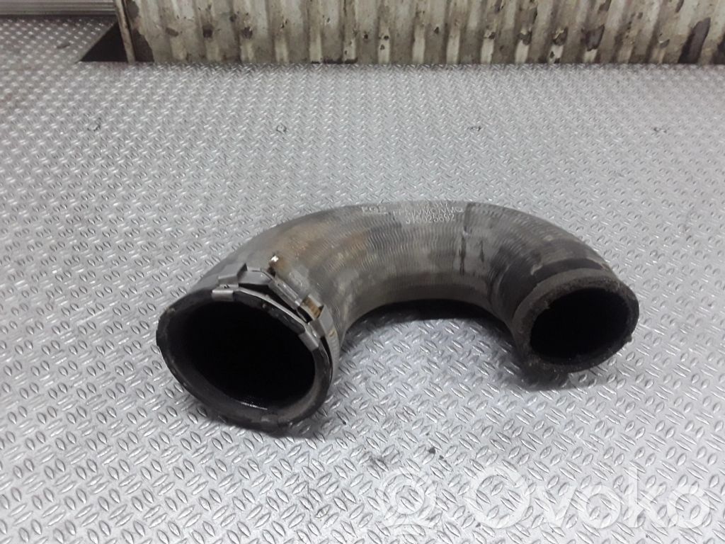 Tubo flessibile intercooler   55350918