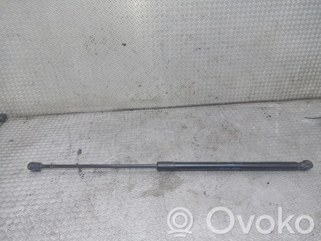 Tailgate/trunk strut/damper   13182309