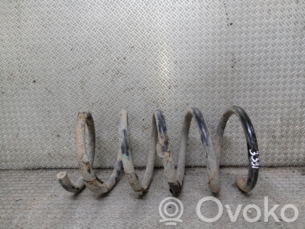 Rear coil spring