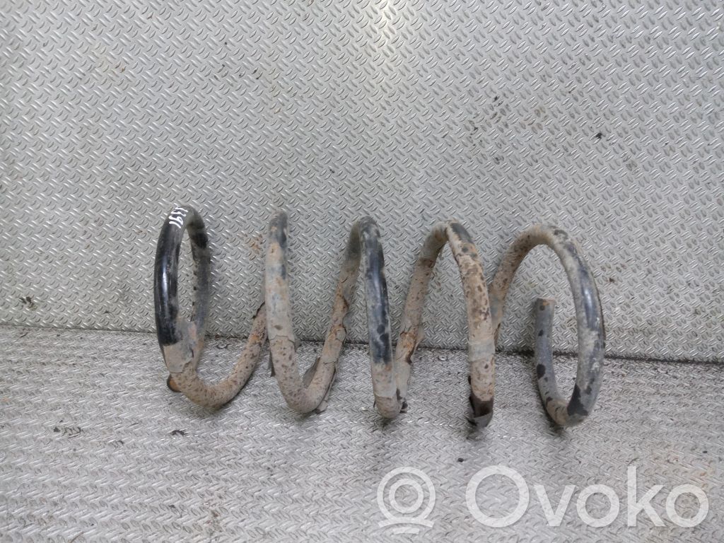 Rear coil spring