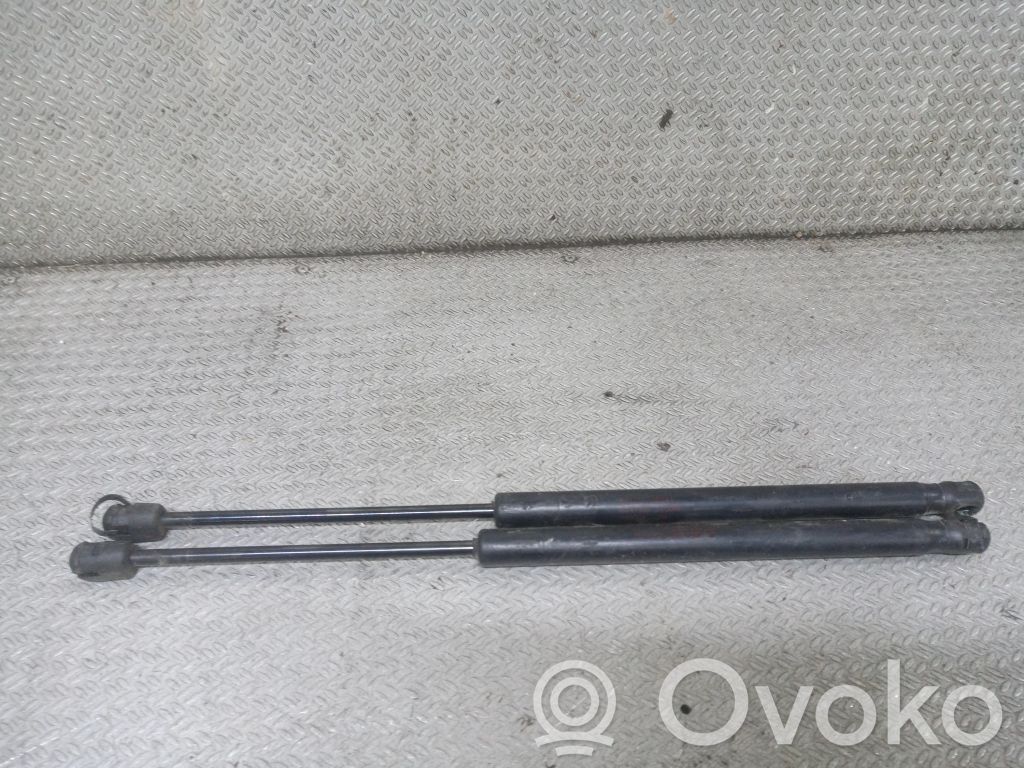 Hyundai Santa Fe Ammortizzatore lunotto posteriore