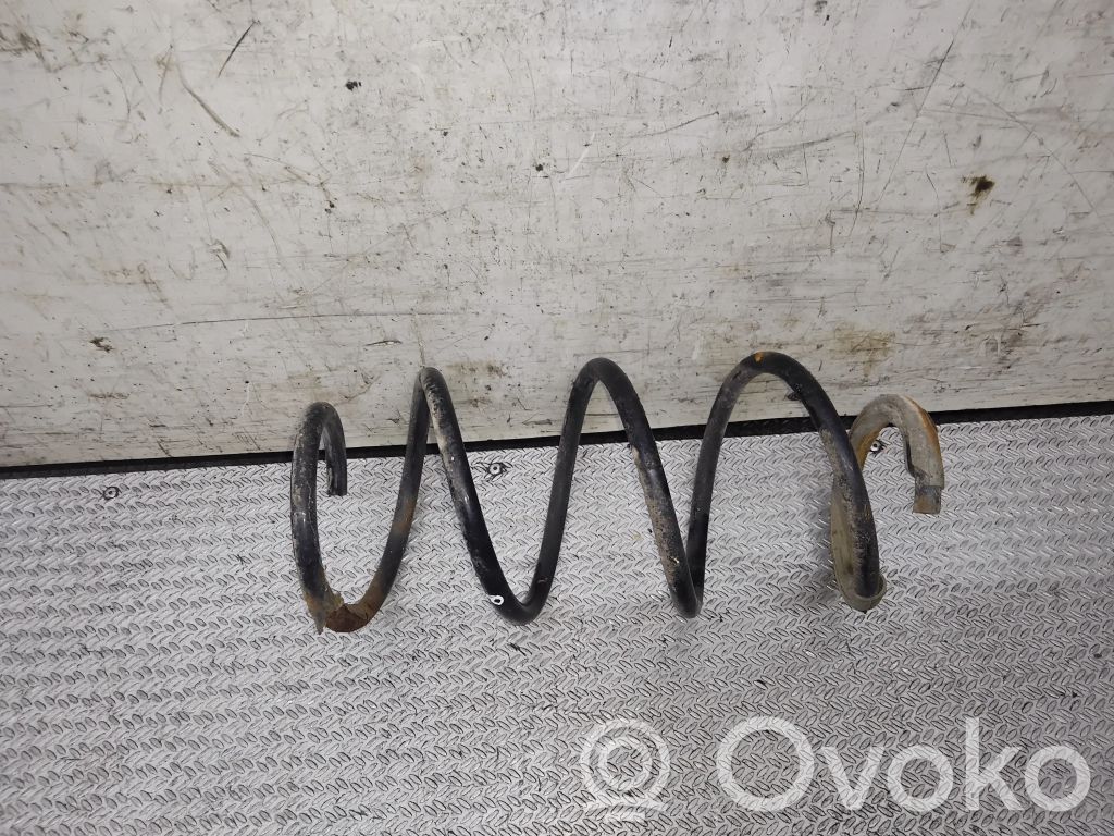 Front coil spring