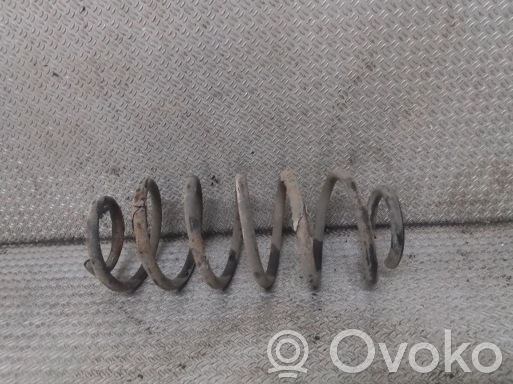 Rear coil spring