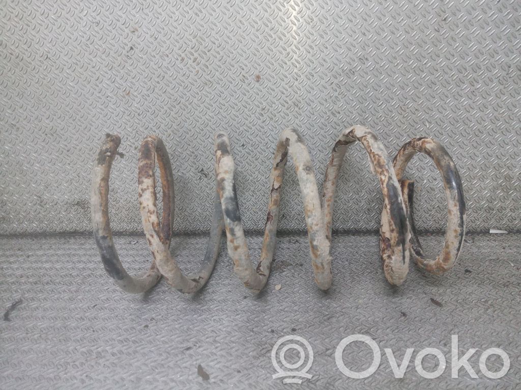 Rear coil spring