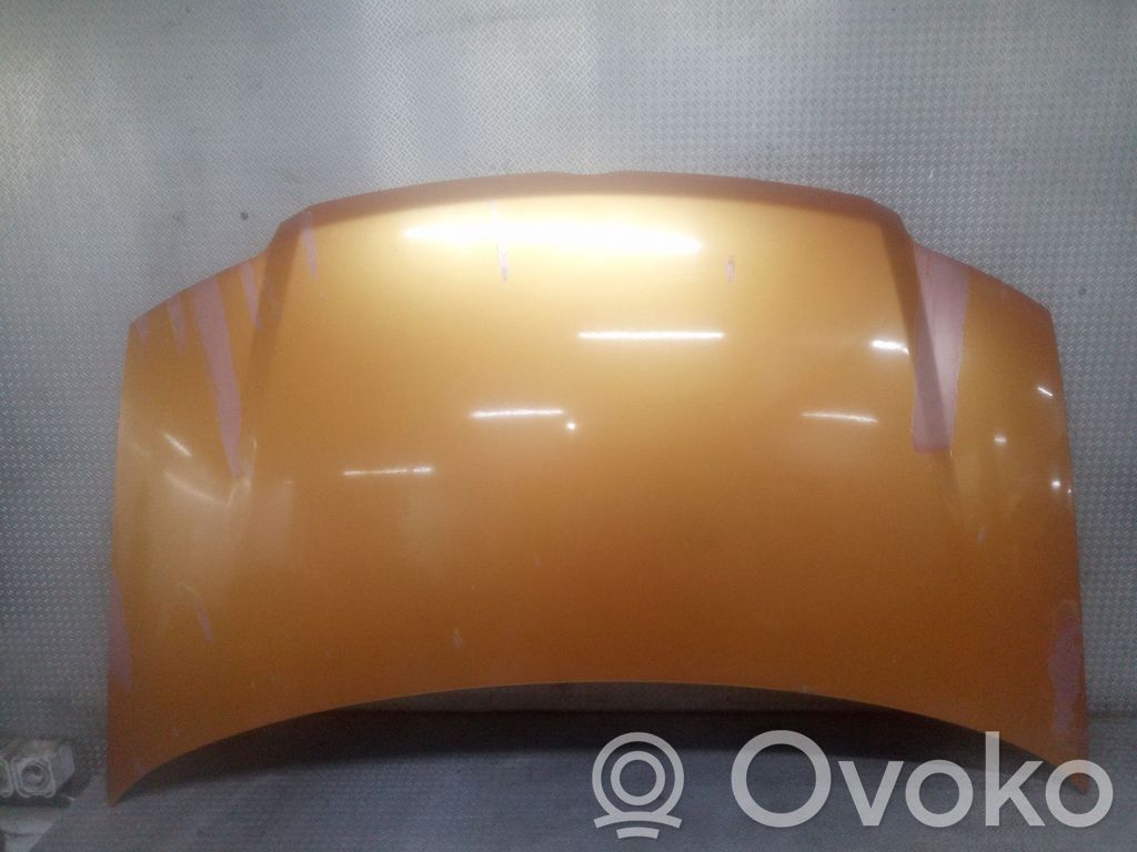 Engine bonnet/hood